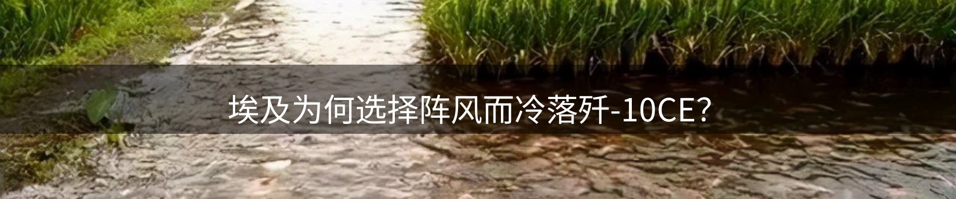 平台动态